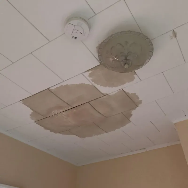 Ceiling Water Damage Repair in Anderson, IN