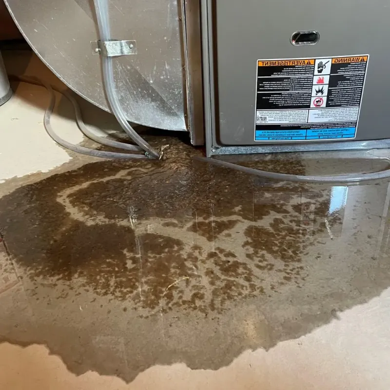 Pipe Burst and Leak Restoration in Anderson, IN