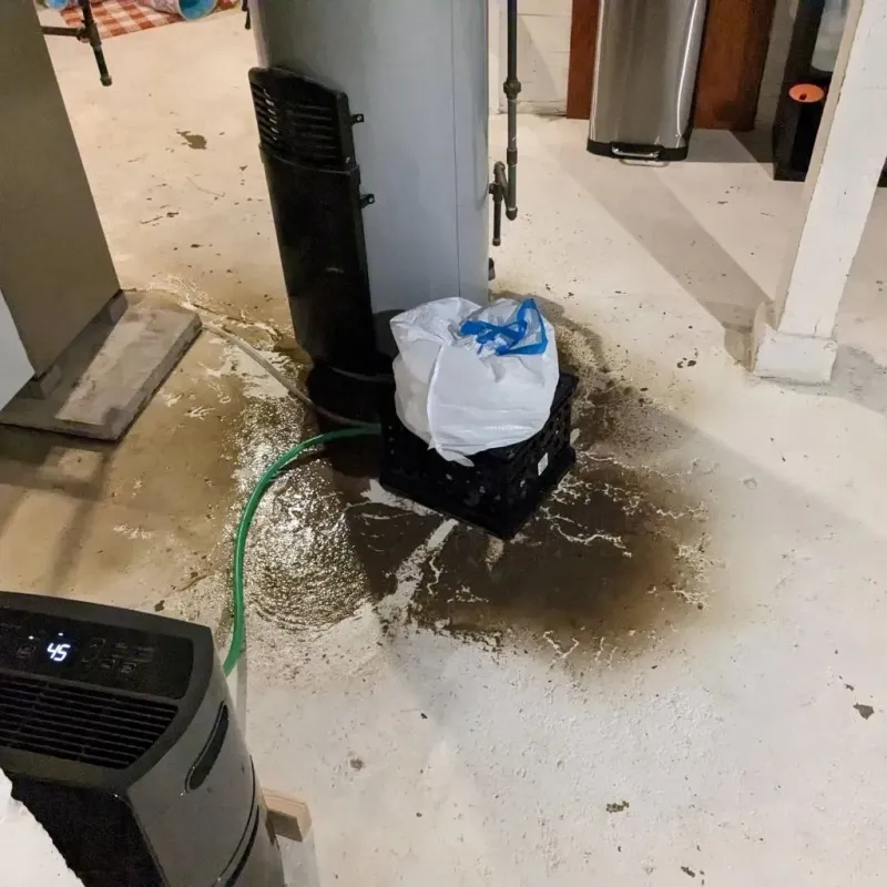 Sewage Backup Cleanup Service in Anderson, IN